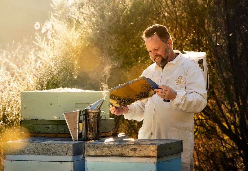 Brian McCall, Maestro Apicultor en Manuka Health